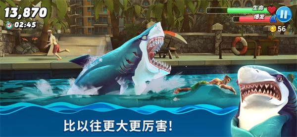 特色设定