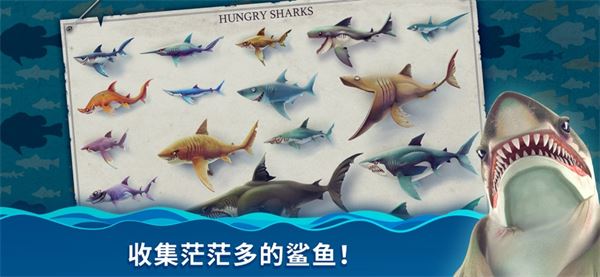 超过100种猎物与敌人