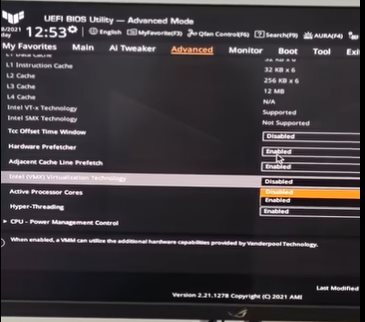 bois设置-Advanced项进行设置